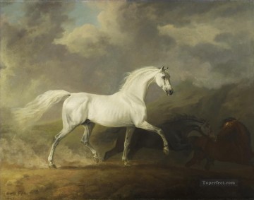 Caballo Painting - am078D animal caballo